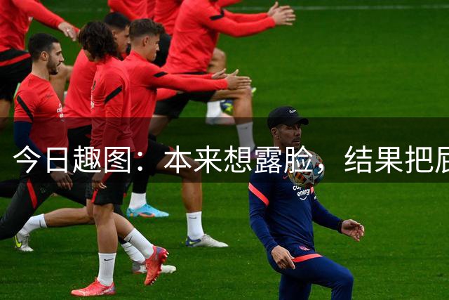 今日趣图：本来想露脸，结果把屁股露出来了